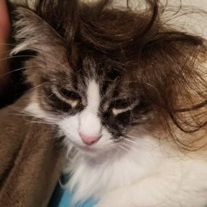 Meet your Posher, Marcela